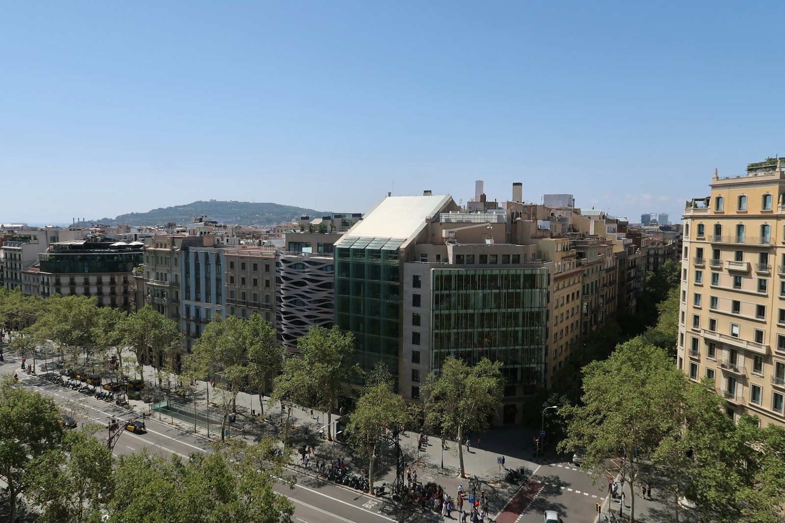 Control de palomas en Barcelona